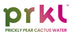 PRKL Cactus Water Drink - Home